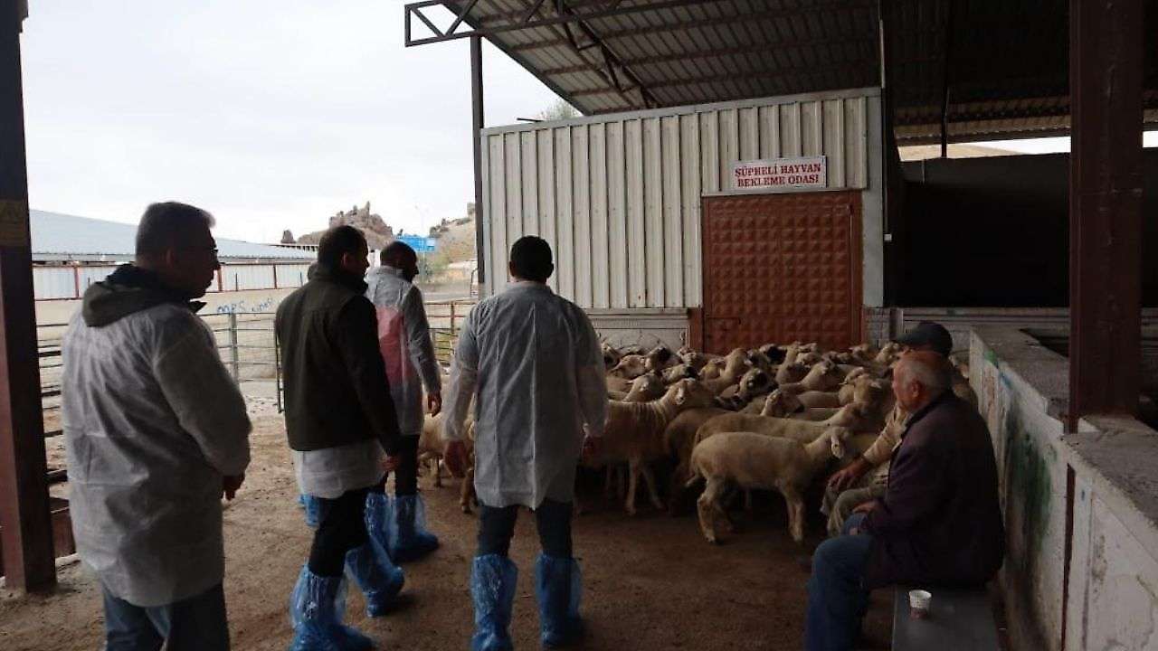 Konya'da kesimhaneler mercek altında