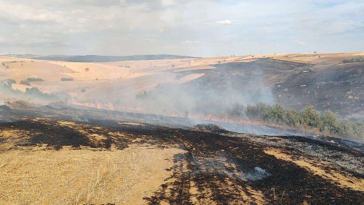 Konya'da çıkan orman yangını söndürüldü