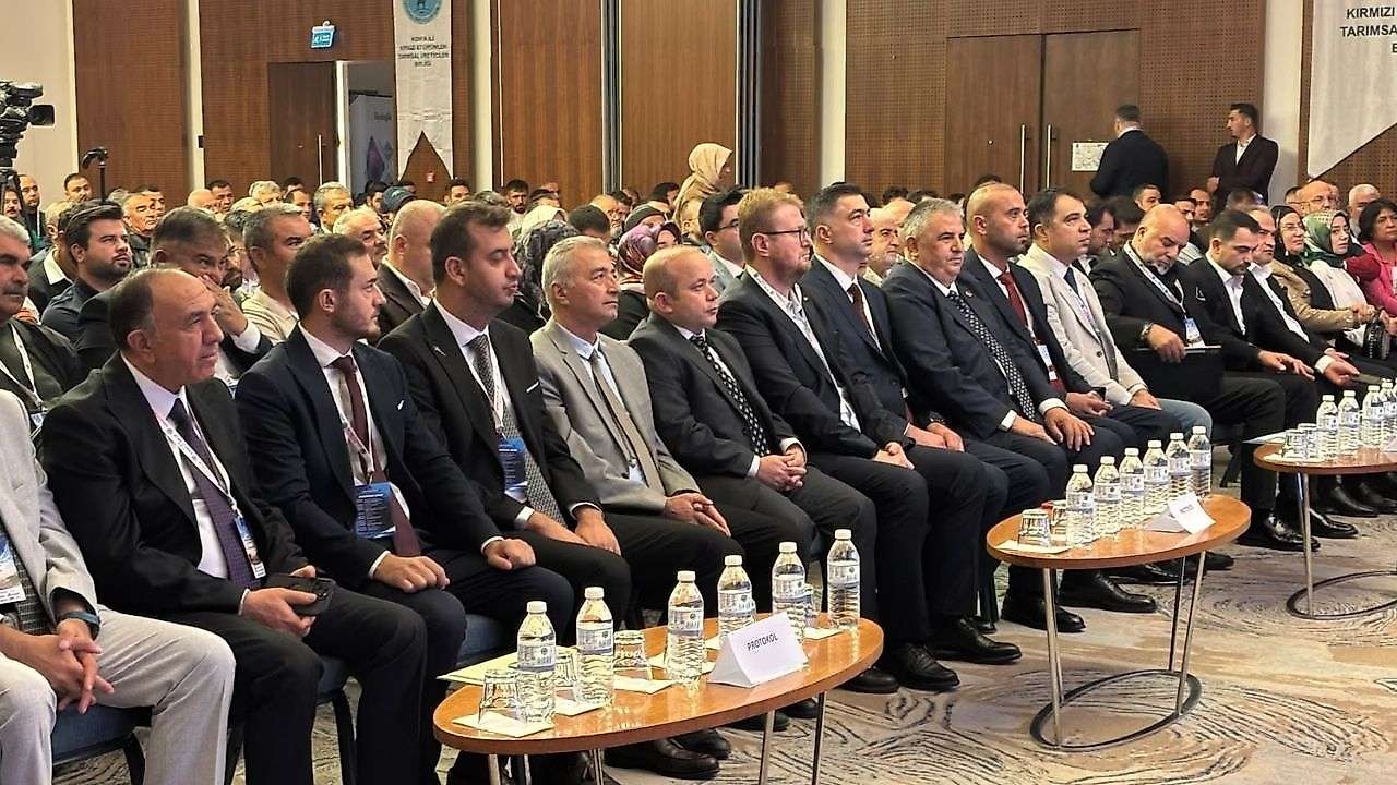 Kırmızı etin geleceği Konya'da masaya yatırıldı