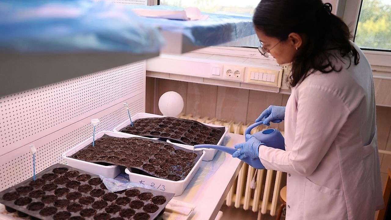 Konya'da 10 yıllık araştırmadan dikkat çeken sonuç!