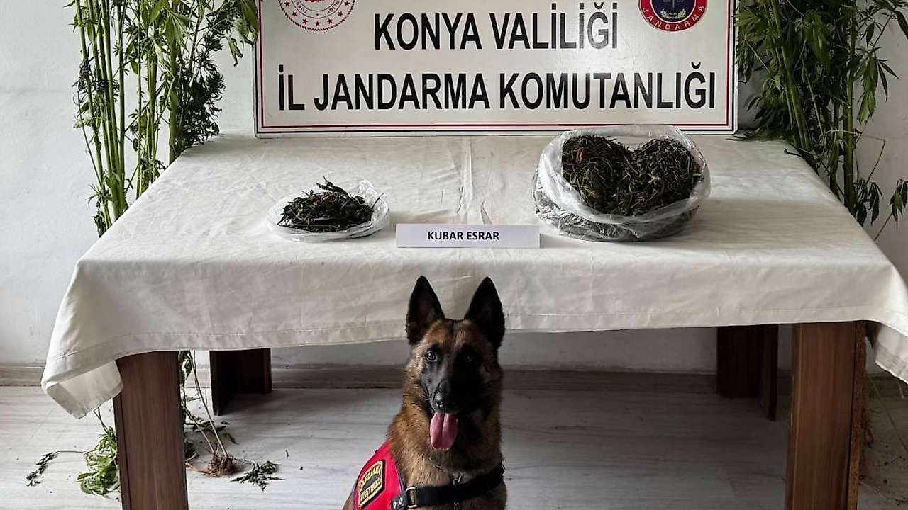 Konya'da eylül ayının uyuşturucu bilançosu belli oldu
