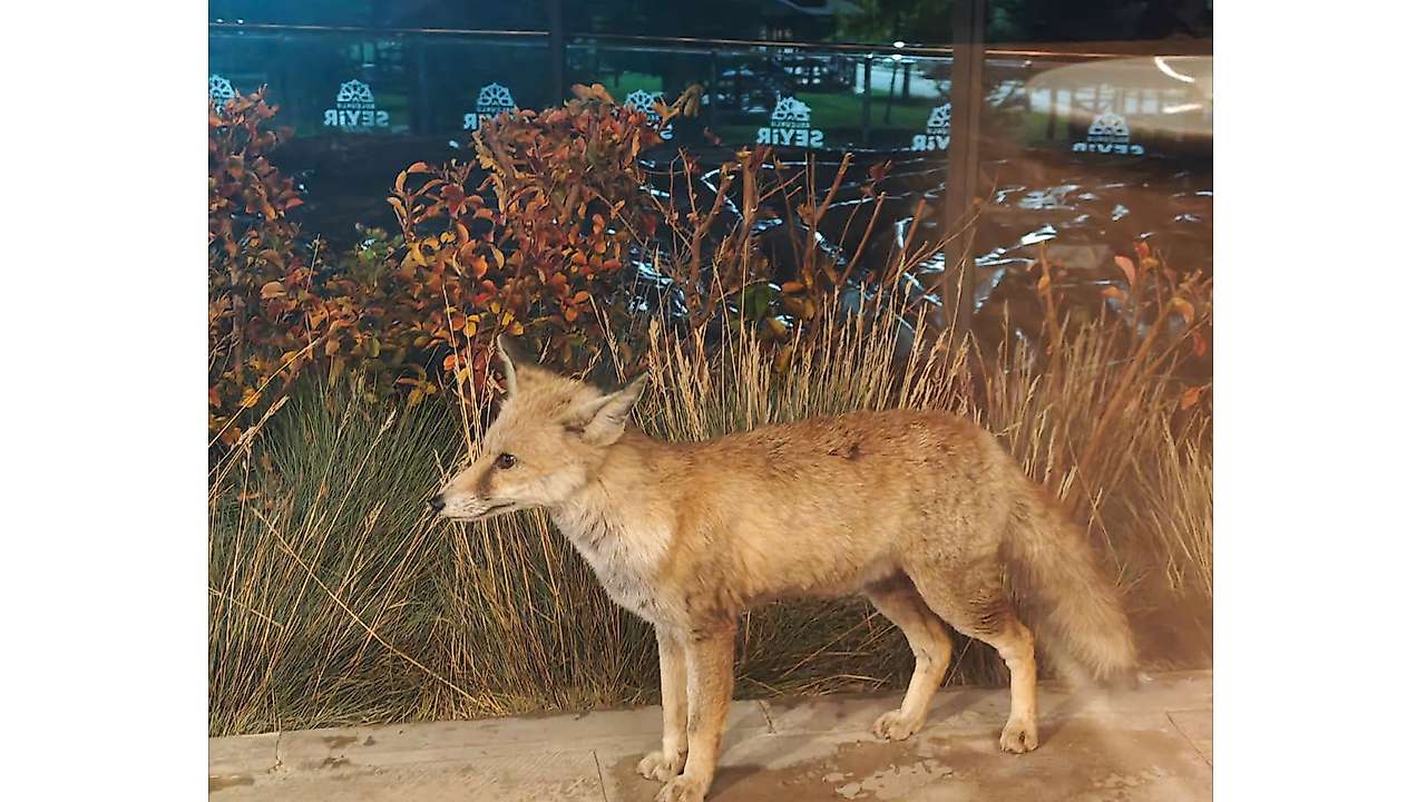 Konya'da meşhur Tilki Seyir Tepesinde