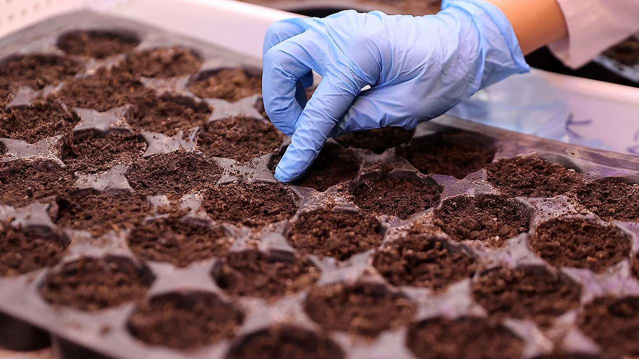 Konya'nın doğa mirası laboratuvara taşındı
