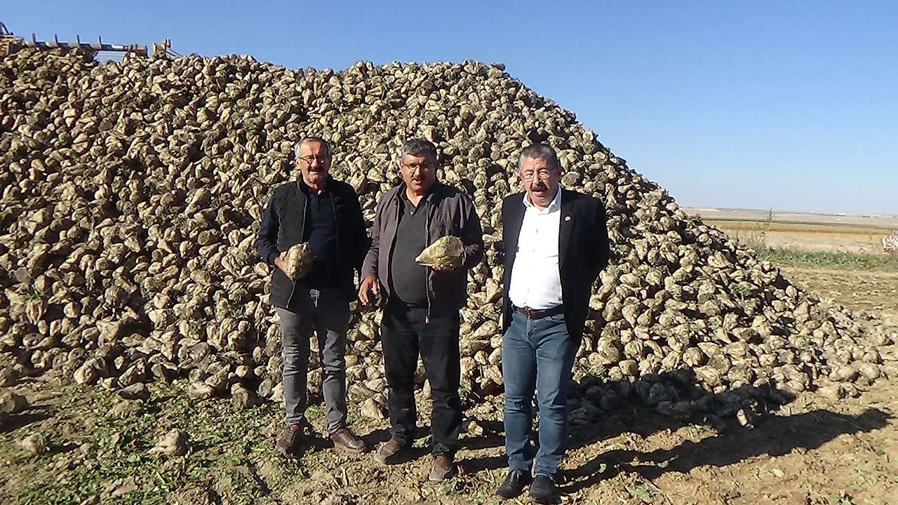 Konya'nın tarım merkezinde hasat zamanı!