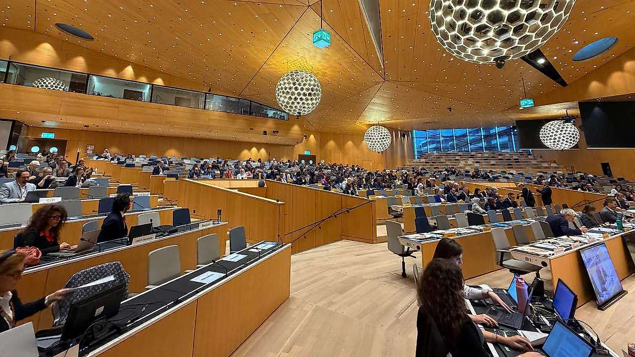 Selçuklu'nun çevreci projeleri BM kürsüsünde!