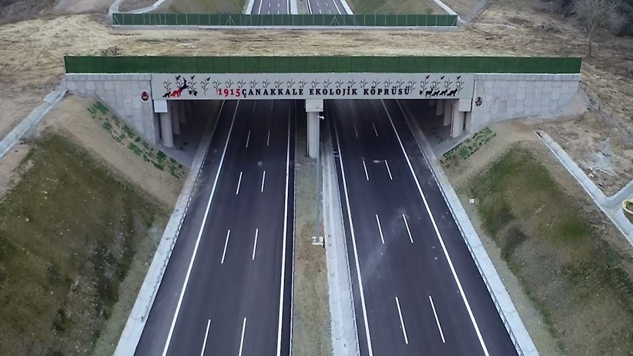 Yaban hayatını koruyacak projede Konya da var!