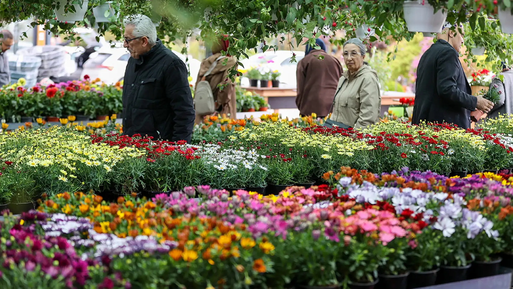 Konya'daki bu ağaç 150 bin lira! Peyzaj ürünlerine dev talep