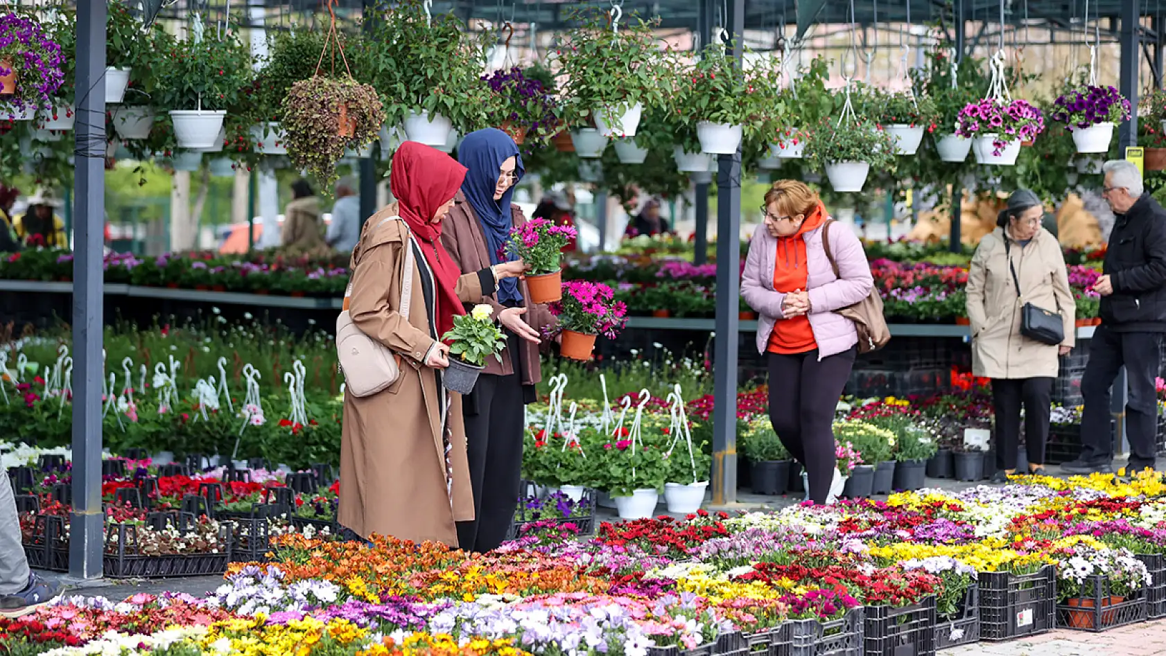 Konya'daki bu ağaç 150 bin lira! Peyzaj ürünlerine dev talep