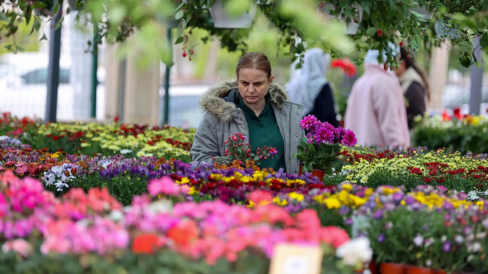 Konya'daki bu ağaç 150 bin lira! Peyzaj ürünlerine dev talep