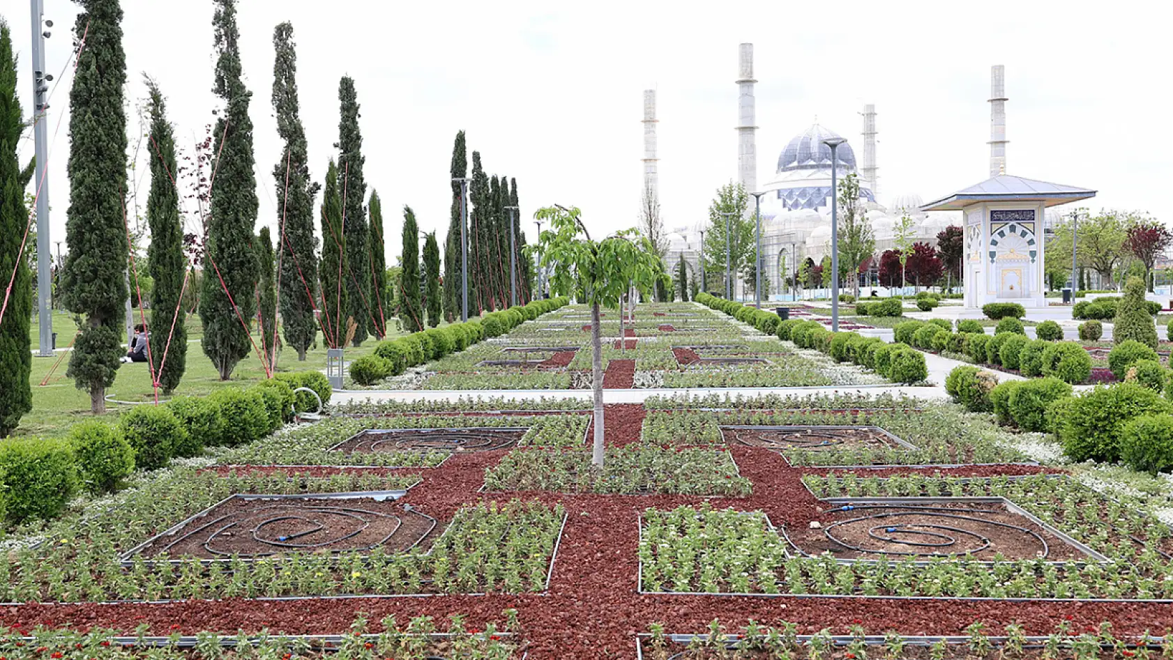 Konya rengarenk oldu! Görenleri manzarasıyla büyüledi
