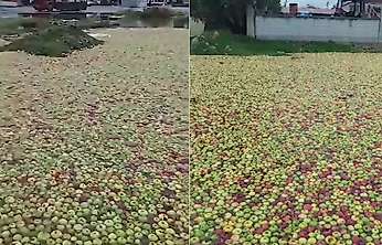 Akşehir'de sağanak yağış pazar alanını vurdu