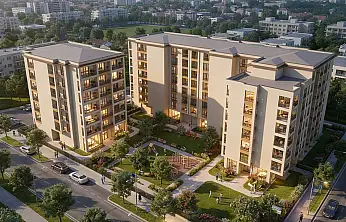 Aymanas'ın yeni gözdesi Can Plus