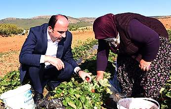 Başkan Altay'dan kadın çiftçilere özel mesaj