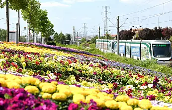 Bu görüntüler Konya'dan! Gören bir daha dönüp bakıyor