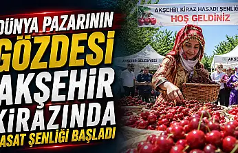 Dünya pazarının gözdesi Akşehir kirazında hasat şenliği başladı