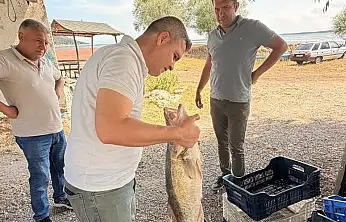 Konya'da balıkçılıkta yeni kontroller! Kurallar tek tek denetleniyor