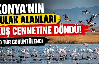 Konya'da binlercesi aynı anda görüntülendi