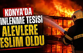 Konya'da dinlenme tesisi alevlere teslim oldu