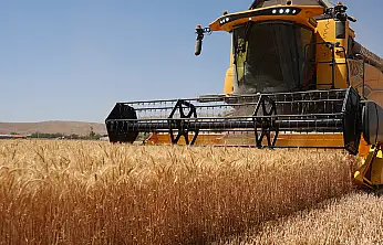 Konya'da hasat sevinci: Rekolte beklentiyi aştı!