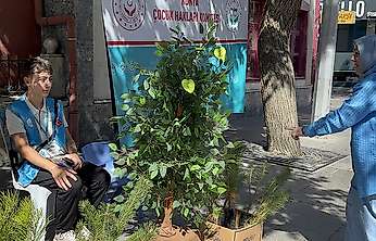 Konya'da iklim seferberliği: Zafer Meydanı'nda tohumlar dağıtıldı