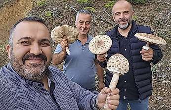 Konya'da ilginç mantar hasadı: O anlar sosyal medyada paylaşıldı