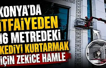 Konya'da itfaiyeden 16 metredeki kediyi Kurtarmada zekice hamle