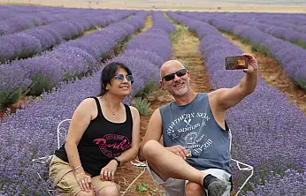 Konya'da mor şölen! Lavanta tarlası ilgi odağı oldu