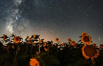 Konya'da muazzam görüntüler: Meteor yağmuru işte böyle kaydedildi
