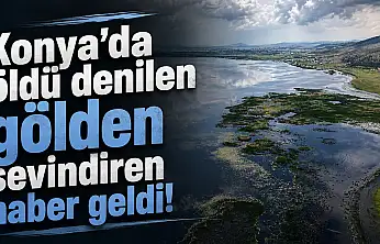 Konya'da öldü denilen gölden sevindiren haber geldi!