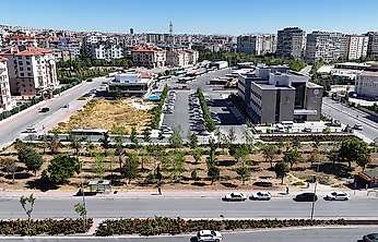 Konya'da tramvay çalışmasında dikkat çeken karar! Ağaçlar kurtarıldı