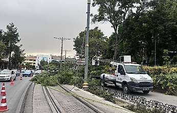 Konya'da tramvay yoluna ağaç devrildi 1 çocuk yaralandı