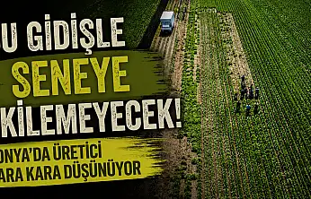 Konya'da üretici zorda! Hasat var, alıcı yok