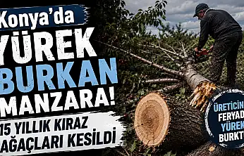 Konya'da üreticinin isyanı yürekleri burktu