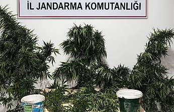 Konya'da uyuşturucuya geçit yok! 6 şüpheli tutuklandı