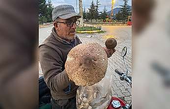 Konya'da vatandaşın karşılaştığı manzara şaşırttı