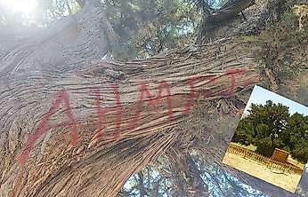 Konya'da vicdanları sızlattılar ama inceleme başladı