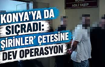 Konya dahil 5 ilde 'Şirinler' çetesine darbe: 16 kişi tutuklandı