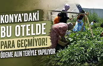 Konya'daki bu otelde para geçmiyor! Ödeme alın teriyle yapılıyor