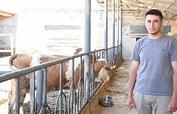 Konya'daki genç veterinerden örnek çiftlik