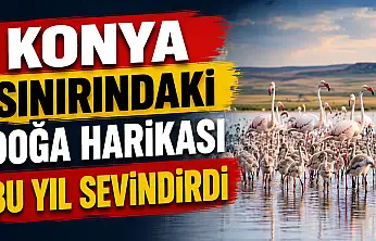 Konya sınırındaki doğa harikası bu yıl sevindirdi