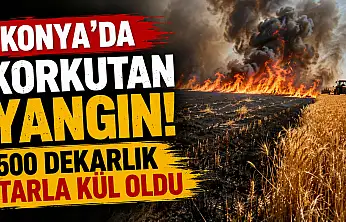 Konya'daki tarla yangını paniğe neden oldu