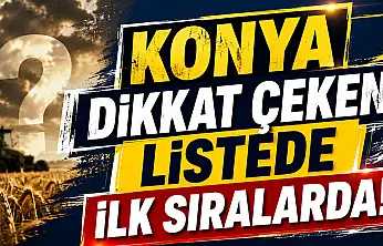 Konya dikkat çeken listede ilk sıralarda!