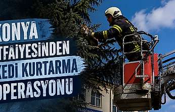 Konya itfaiyesinden kedi kurtarma operasyonu