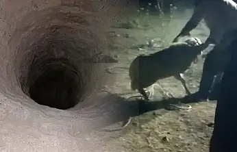 Konya mucize kurtarış! İki gün çukurda kaldı
