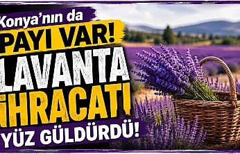 Konya'nın da payı var! Lavanta ihracatı yüz güldürdü
