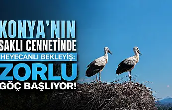 Konya'nın saklı cennetinde heyecanlı bekleyiş: Zorlu göç başlıyor!