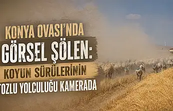 Konya Ovası'nda görsel şölen: Koyun sürülerinin tozlu yolculuğu kamerada