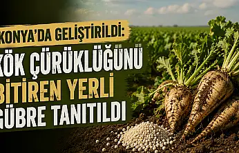 Konya Şekerden pancar üreticisine müjde: Maliyetler düşüyor!