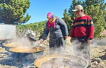 Konya sınırında şifa: Toroslar'da organik harnup pekmezi