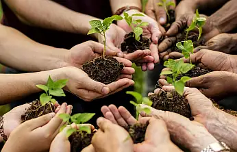 Konya'ya can suyu olacak seferberlik